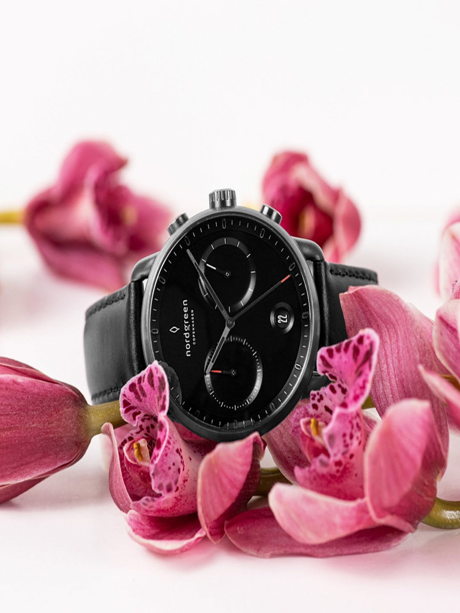 Nordgreen PI42GMLEBLBL Pioneer Analog Watch for Men