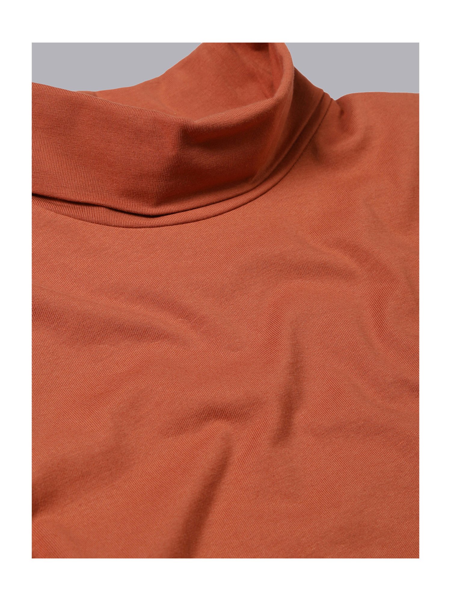 Plum Tree Boys Rust & Blue Solid Full Sleeves T-Shirt (Pack Of 2)