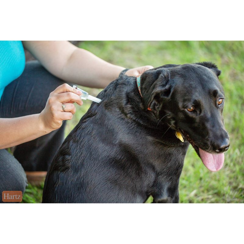 Hartz Dual Action Insect Prevention - L