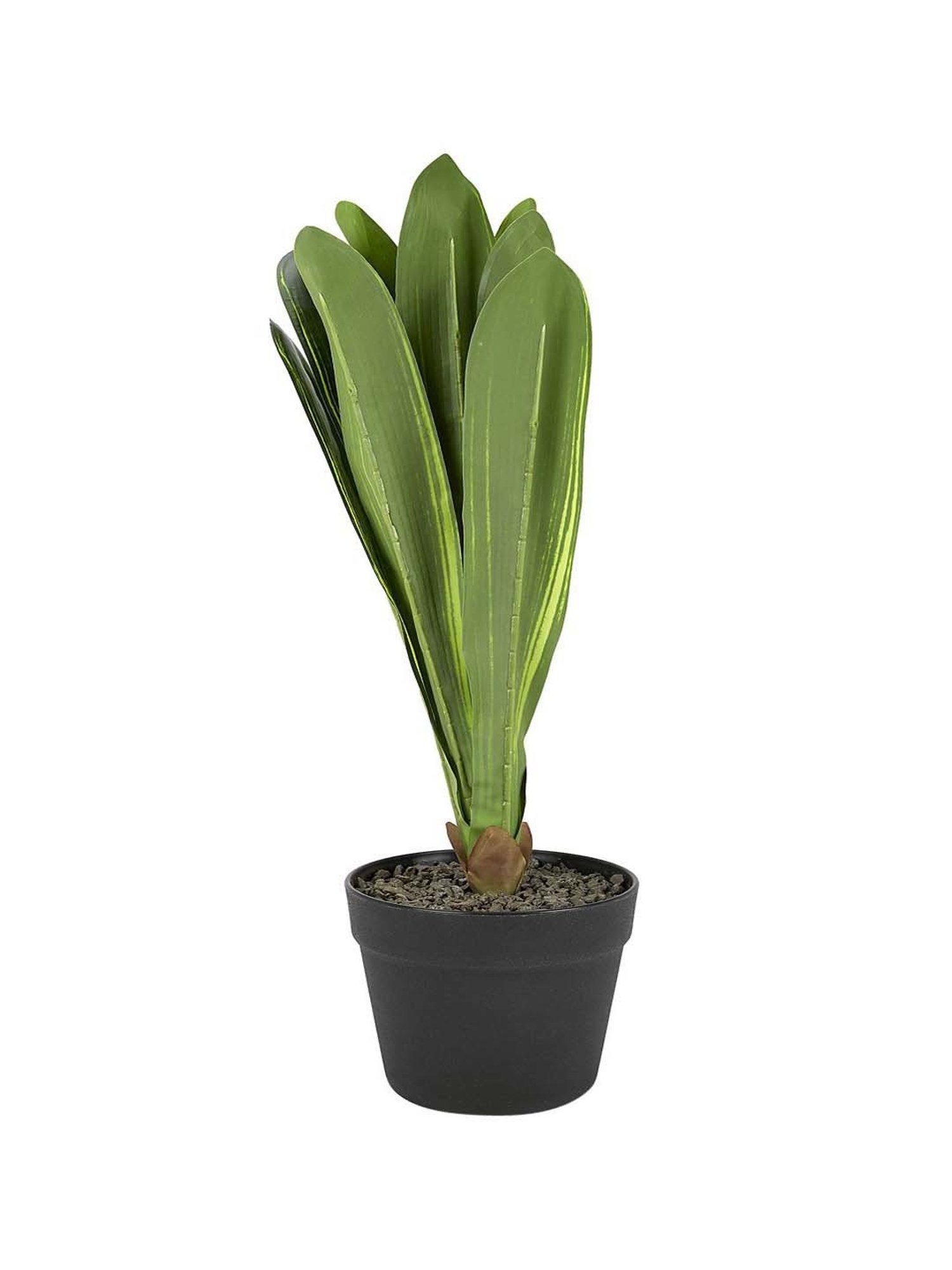 Mason Home Gold Anar Vase - Small