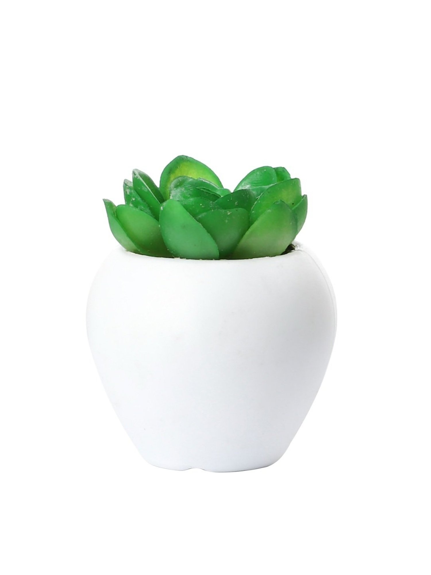 Foliyaj Multicolor Plastic Artificial Cactus Plants with Metal Holder - Set of 2