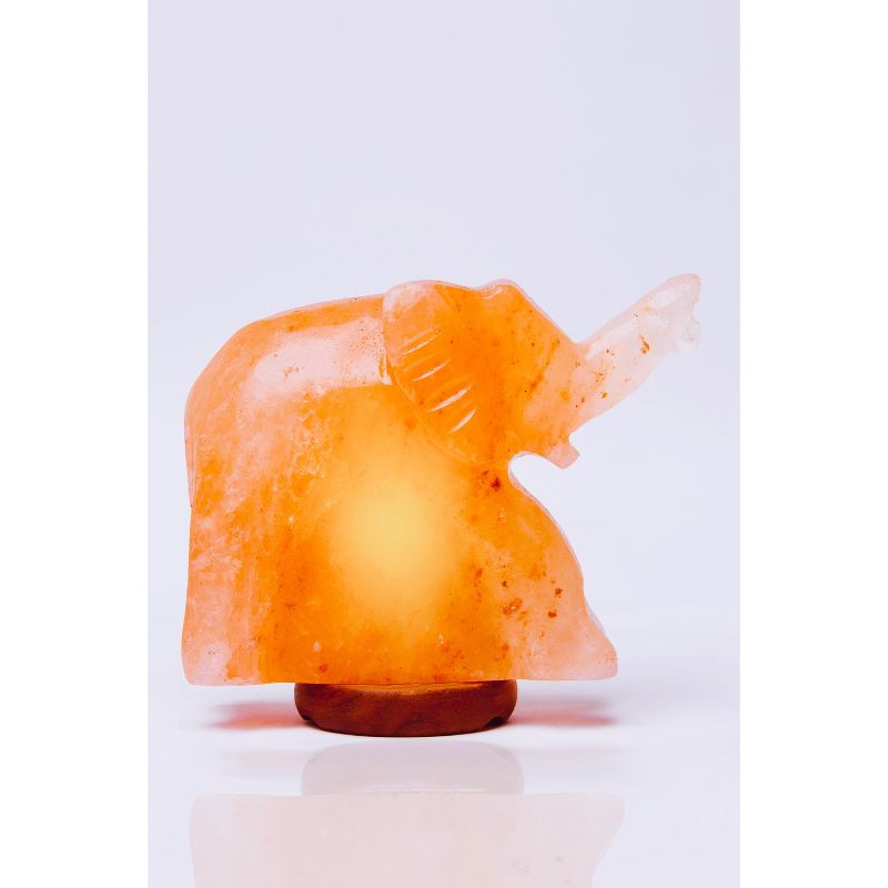 Elephant Salt Lamp Pink - Q&A Himalayan Salt