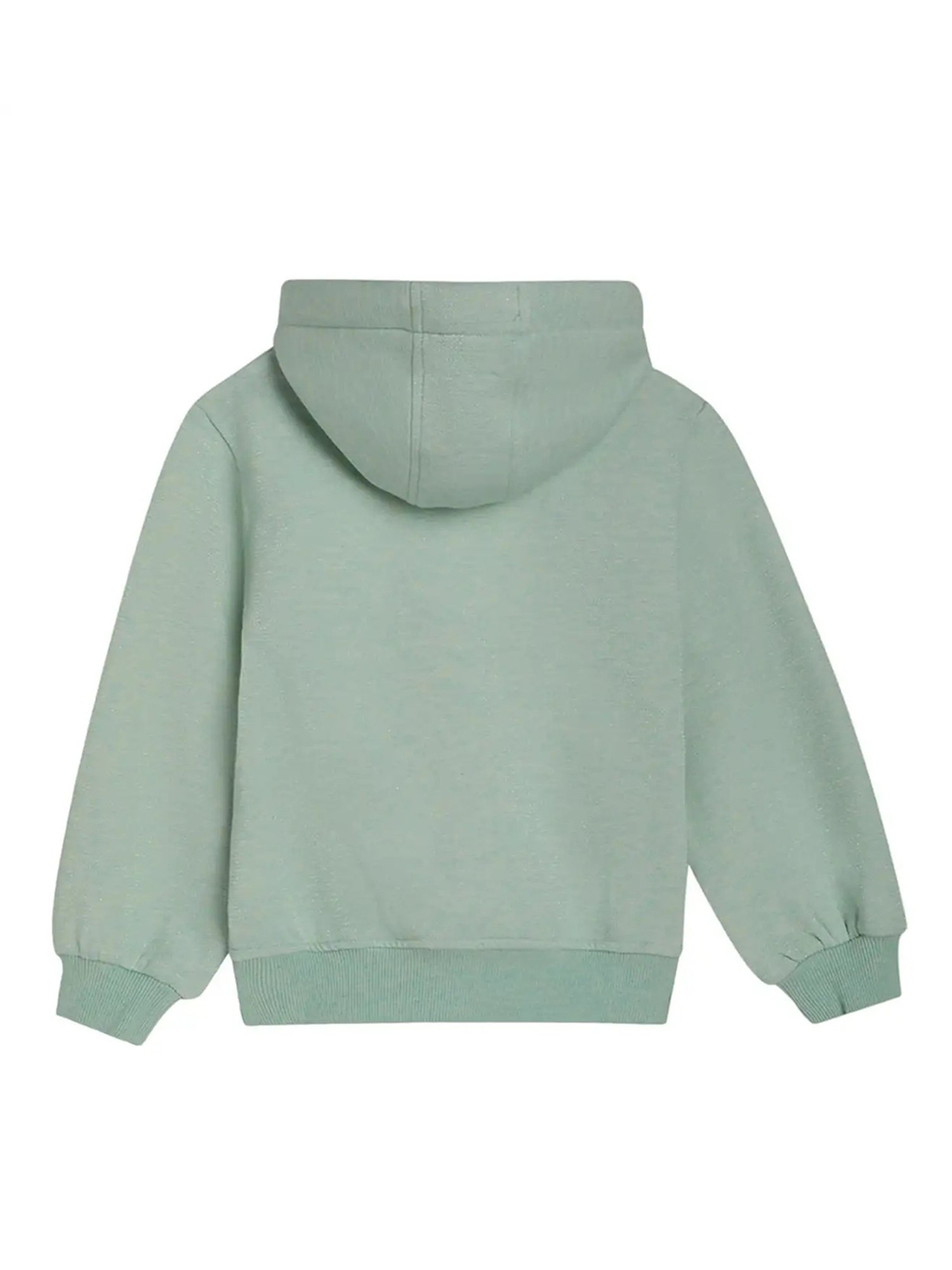 Elle Kids Sea Green Printed  Hoodie