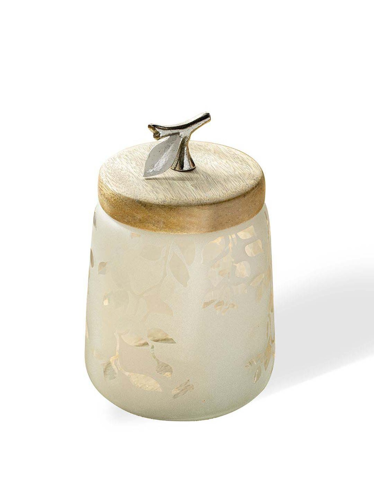 ellementry Twiggy Frosted Transparent Glass Jar with Lid (500 ml) - Set of 1