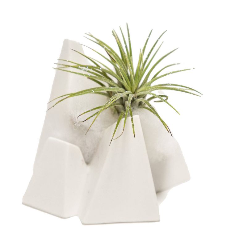 LiveTrends Ice Mountain