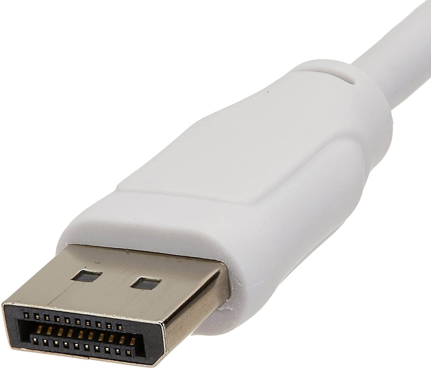 Amazon Basics DisplayPort to VGA Display Monitor Adapter