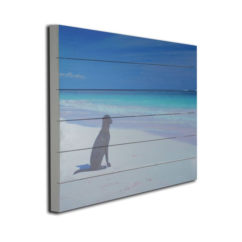 18" x 26" Dog on Beach Print on Planked Wood Wall Sign Panel Blue - Gallery 57
