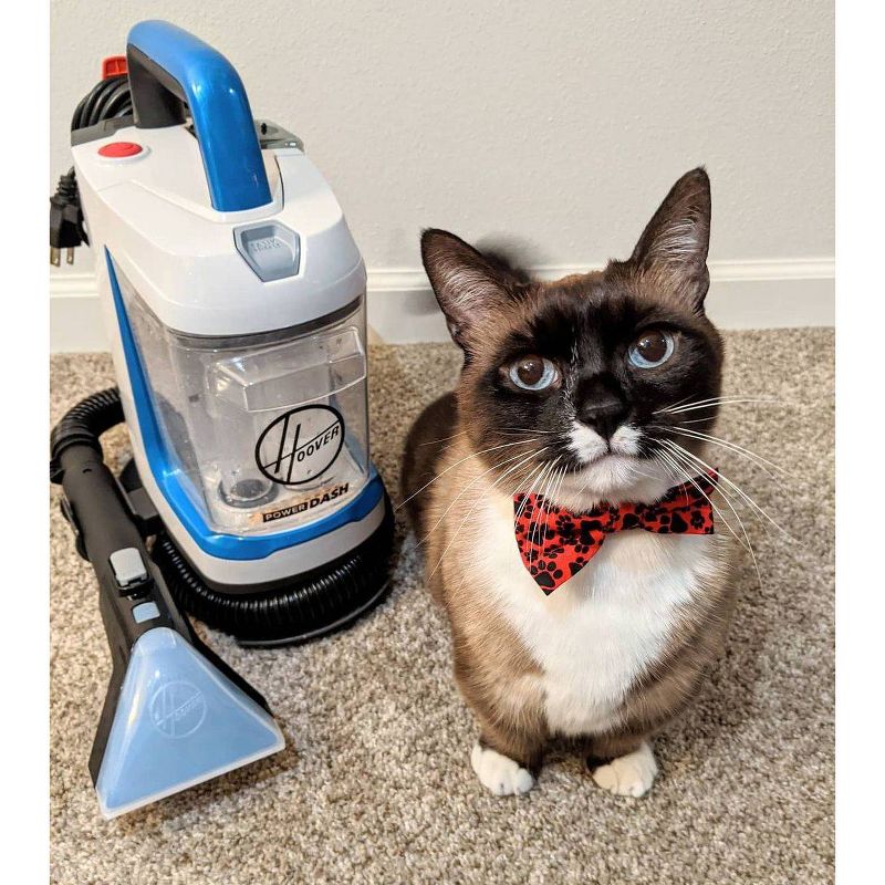 BISSELL JetScrub Pet Carpet Cleaner - 25299