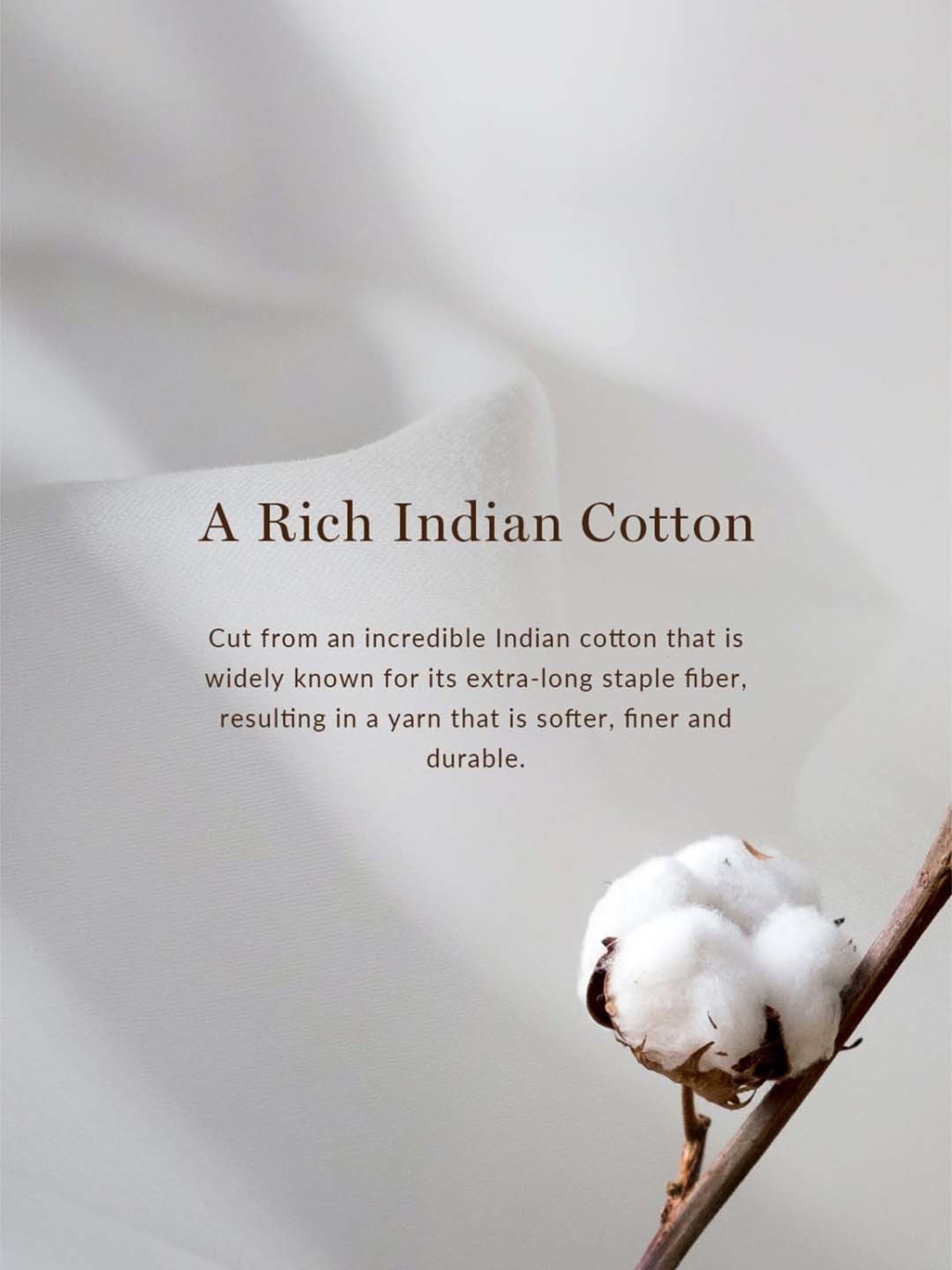 Andamen Blue Cotton Regular Fit T-Shirt