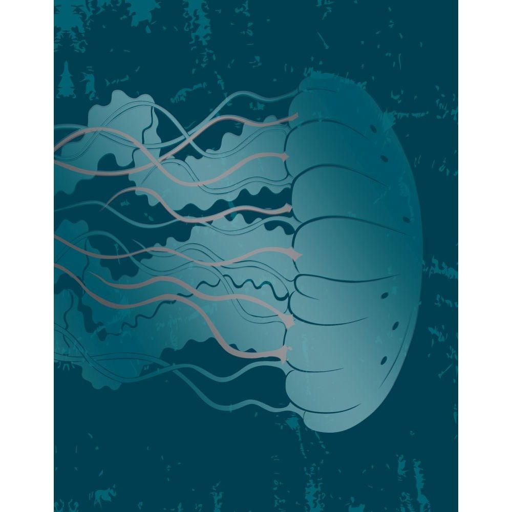 SKYZ by LANG,  JAWSOME 2 PACK FOLDERS