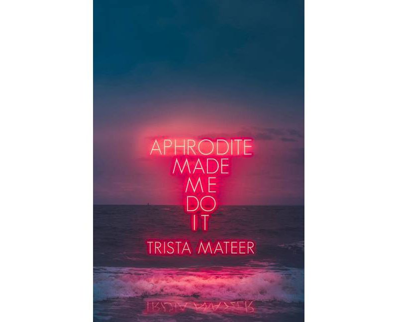 Aphrodite Made Me Do It - by Trista Mateer (Paperback)