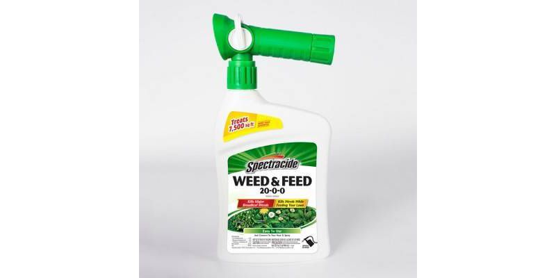 32 fl oz Ready-to-Spray Weed & Feed - Spectracide