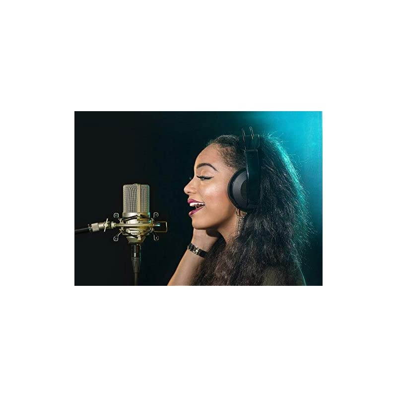 MXL 990 Cardioid Condenser Microphone for Podcasts Recording Vocals and Acoustic Guitars Champagne Bundle with  Boom Arm Plus Pop Filter and 10FT Balanced XLR Cable