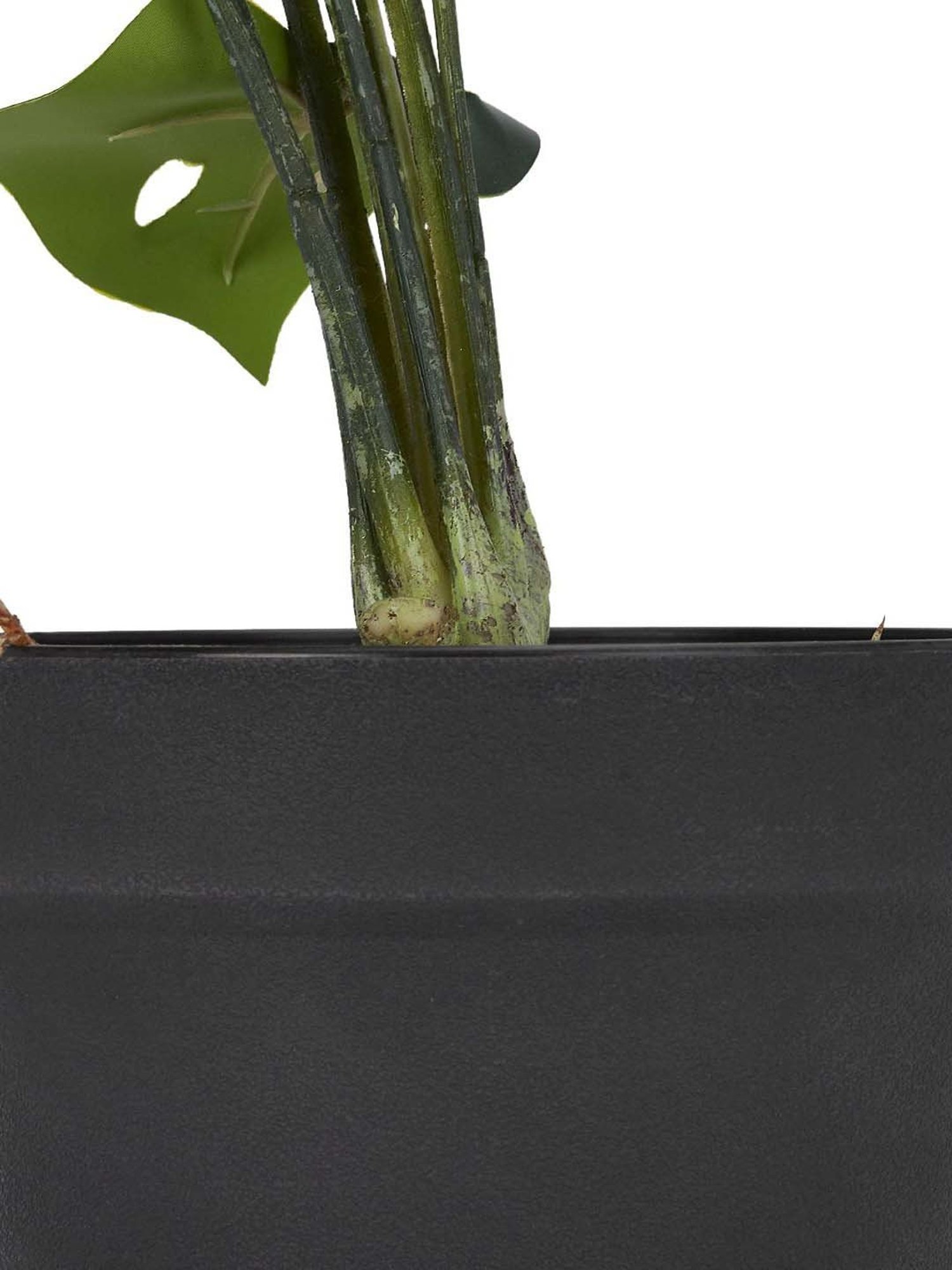 Living Scapes by Pantaloons Green Plastic Artificial Plant Vases