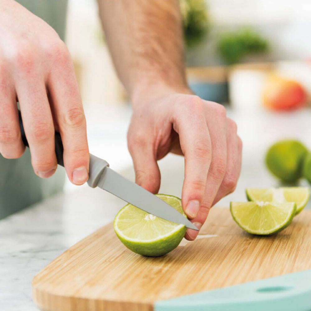 Chicago Cutlery 1132357 Armitage Two Piece Knife Set