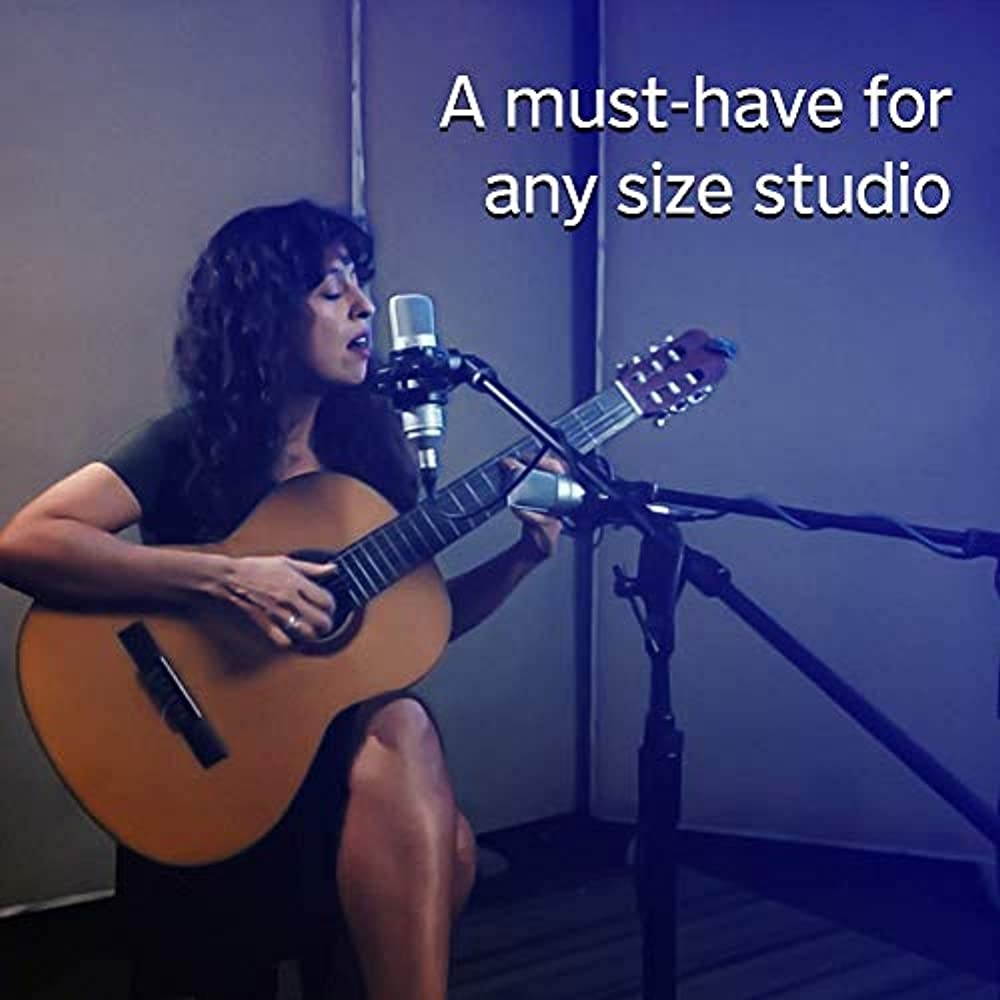 Tascam TM-80 Condenser Microphone