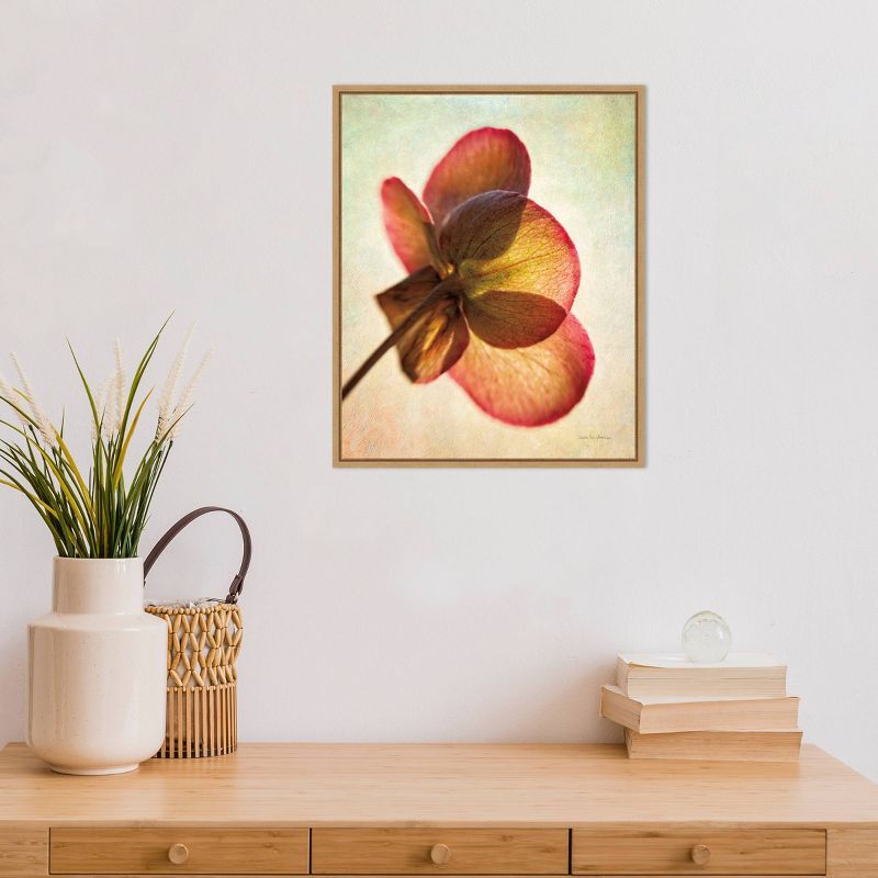 16" x 20" Lenton Rose I by Debra Van Swearingen Framed Wall Canvas - Amanti Art