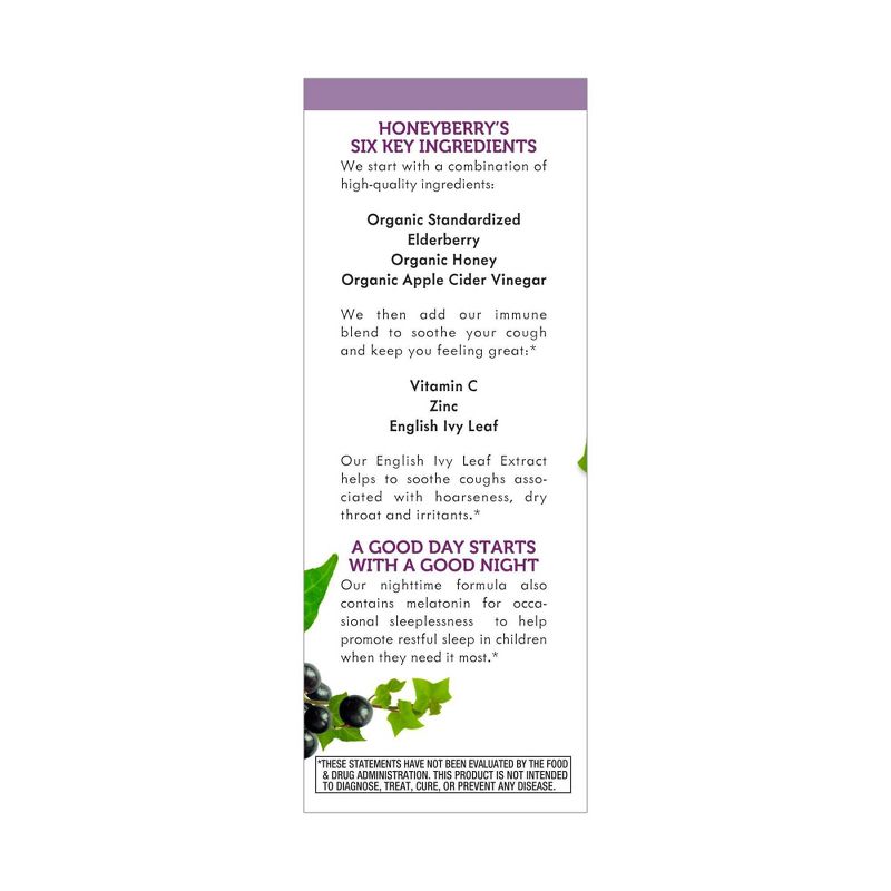 Nature's Way Sambucus HoneyBerry Nighttime Cough Syrup for Kids with Elderberry - 4 fl oz