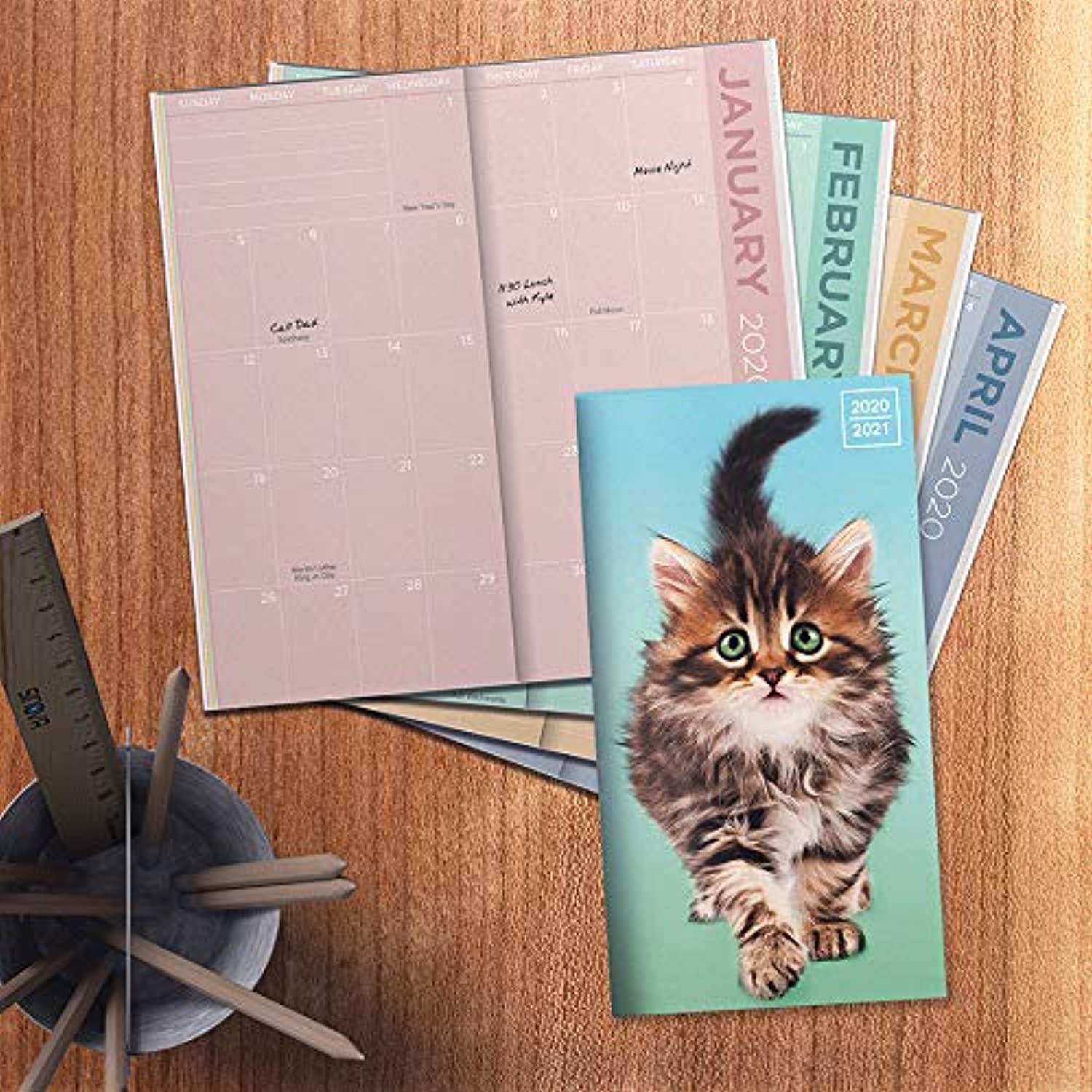 2020-2021 Kittens 2-Year Small Monthly Planner