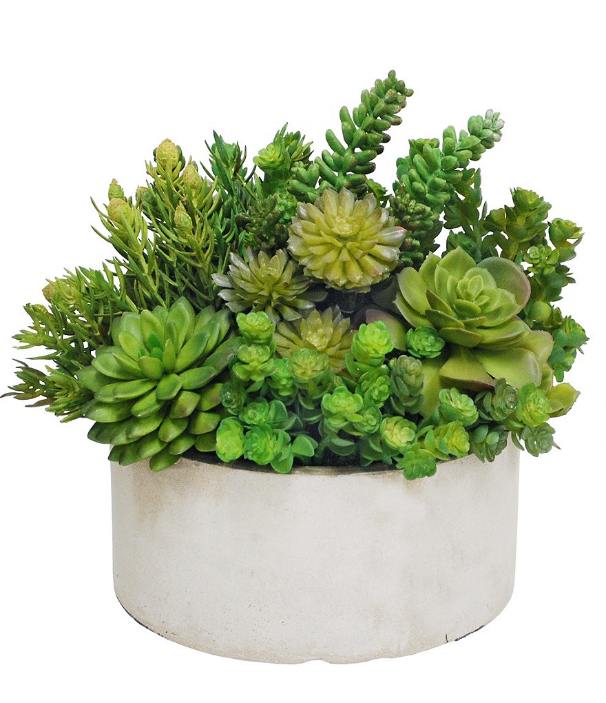 Winward Permanent Botanicals Succulent Garden Planter