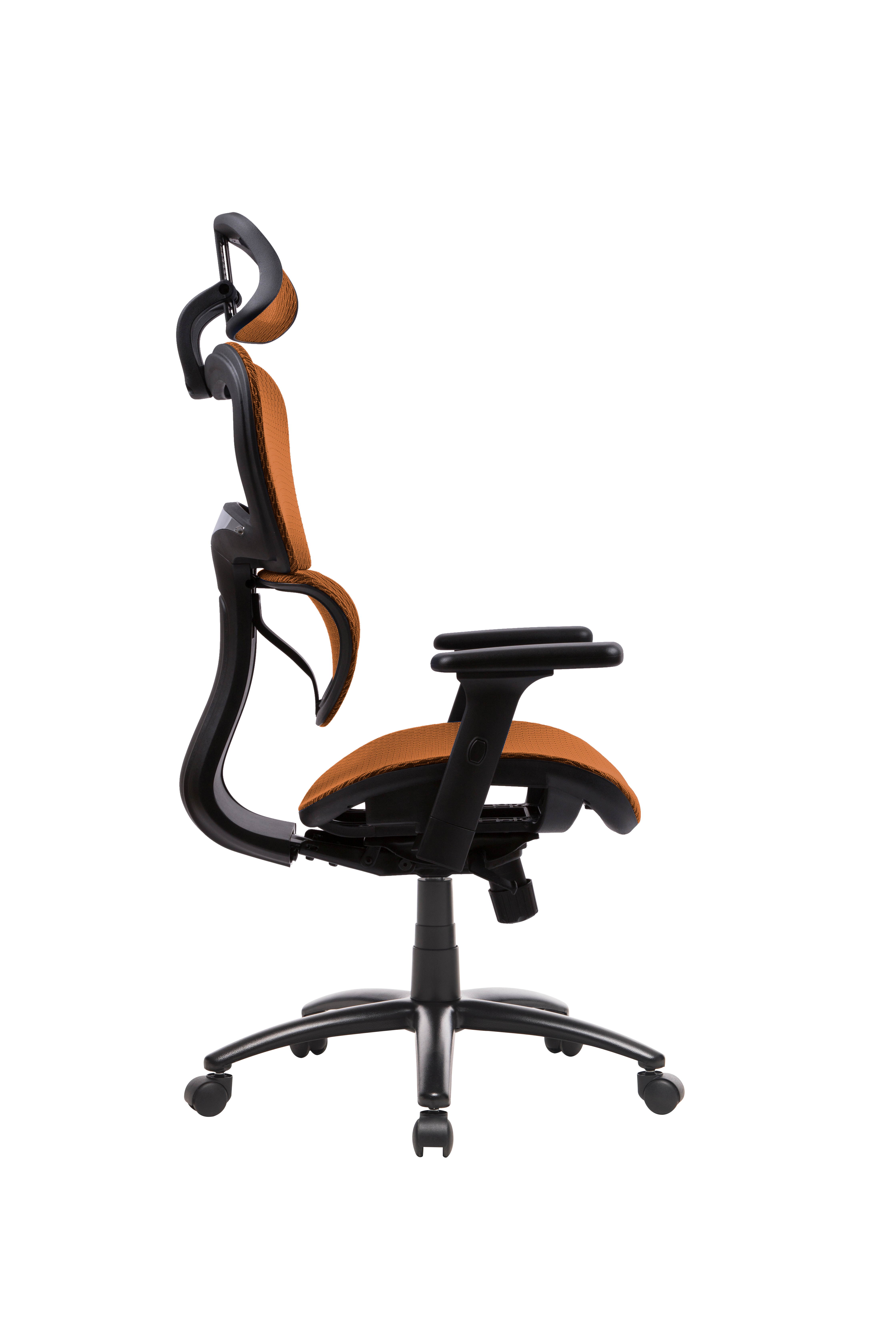 Ergonomic Office Chair Mesh Chair Computer Chair Desk Chair High Back Chair with Adjustable Headrest and Armrest