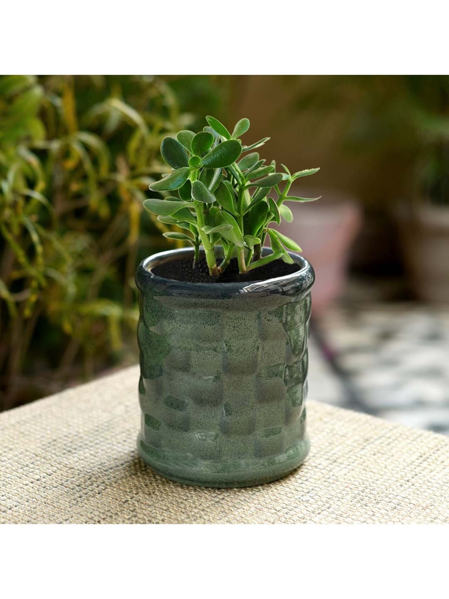 Unravel India Navy Blue & Pink Ceramic Glazed Table Top Planter - Set of 1