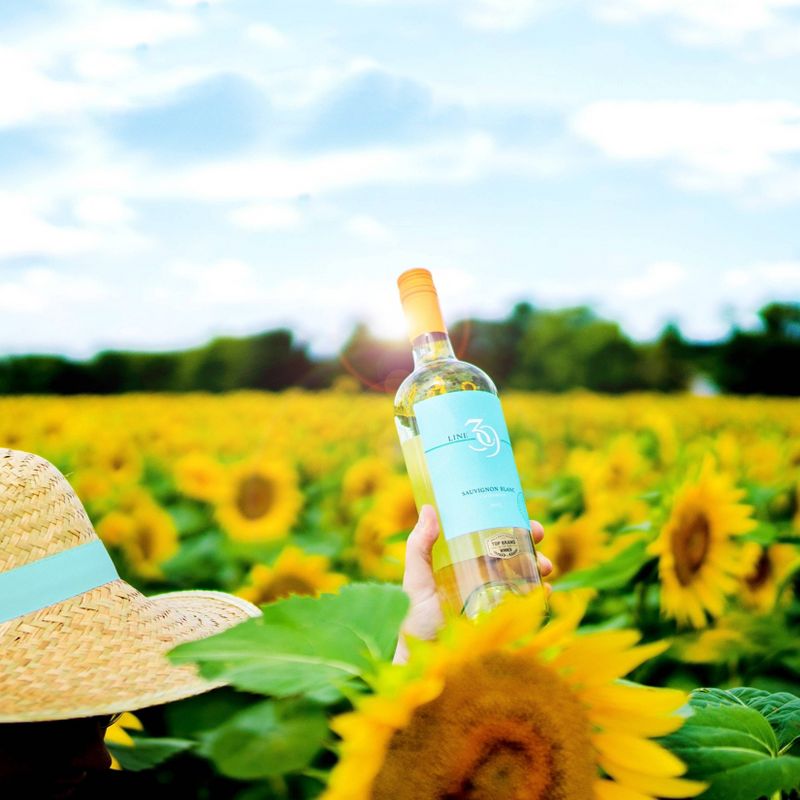 Line 39 Sauvignon Blanc White Wine - 750ml Bottle