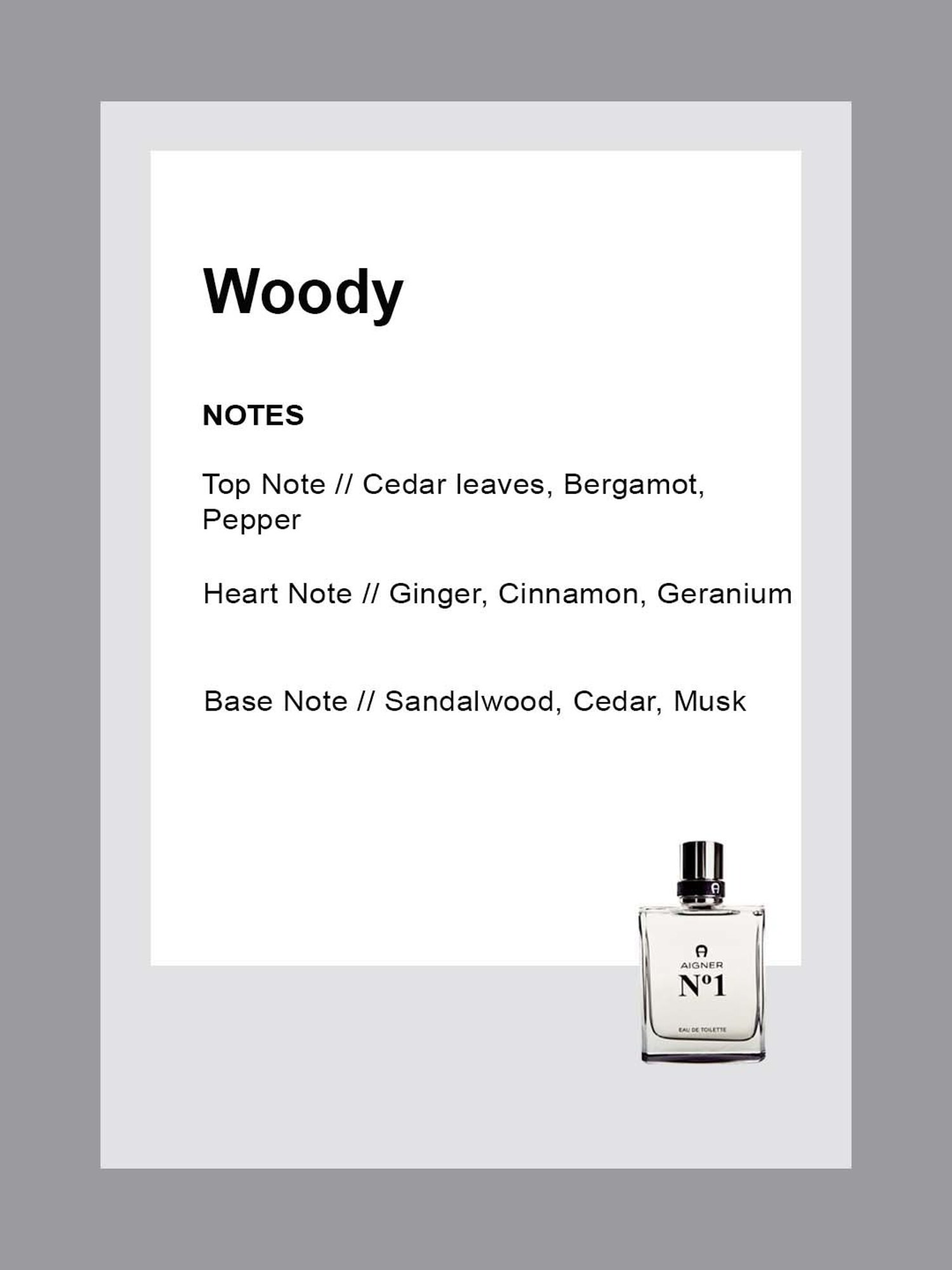 Aigner No.1 Eau de Toilette for Men - 100 ml