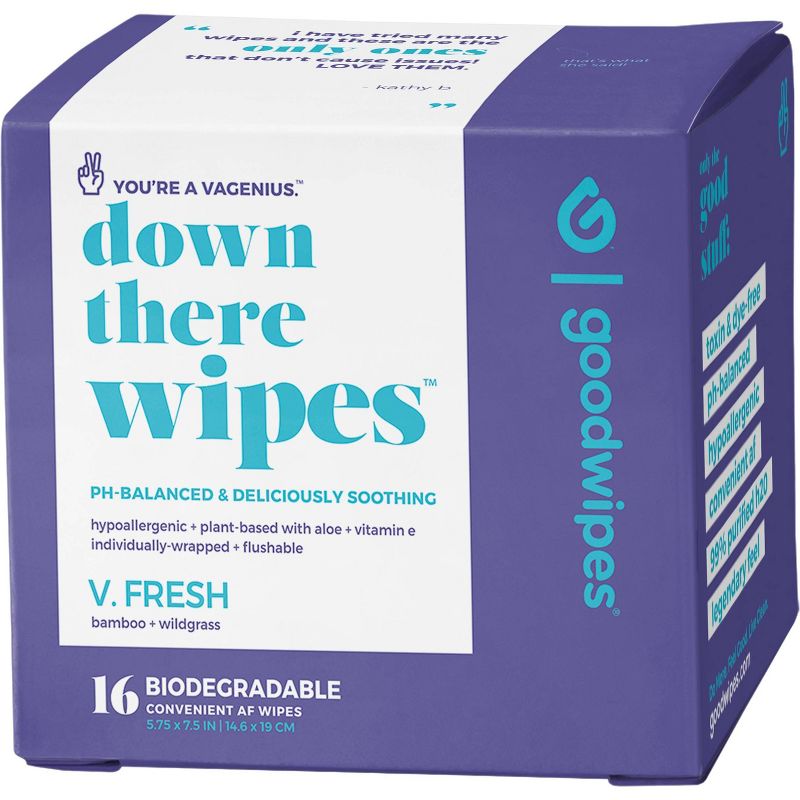 Goodwipes Fresh Down There Wipes - 16ct