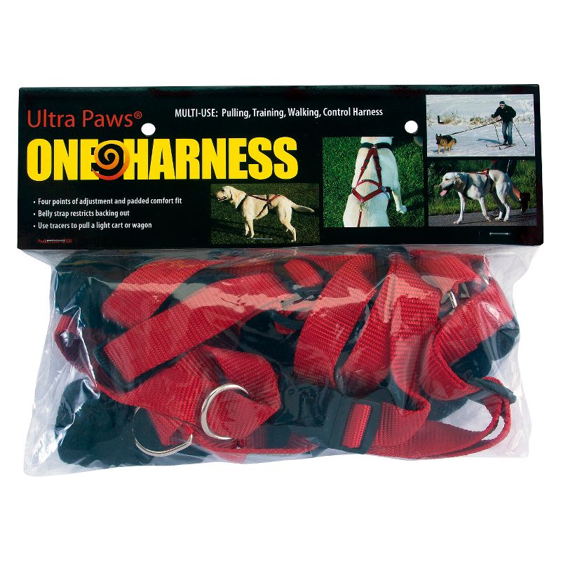 Safety Light Auto Dog Collar