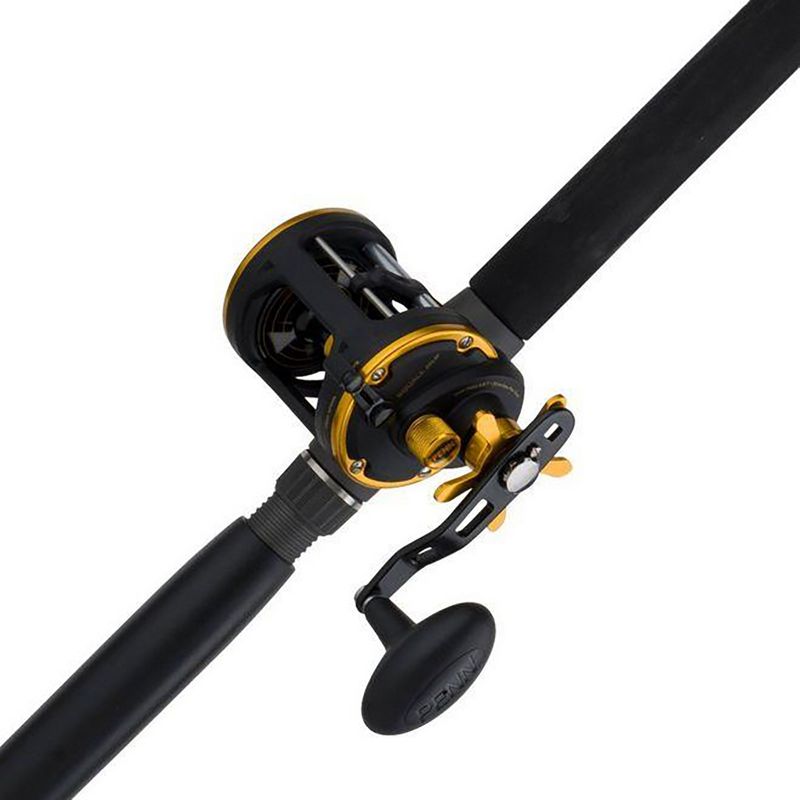 Penn SQL20LWLH Squall Level Wind Left Hand Fishing Reel with 2 Stainless Steel Bearings for Freshwater or Saltwater Fishing, Size 20 (Black Gold)