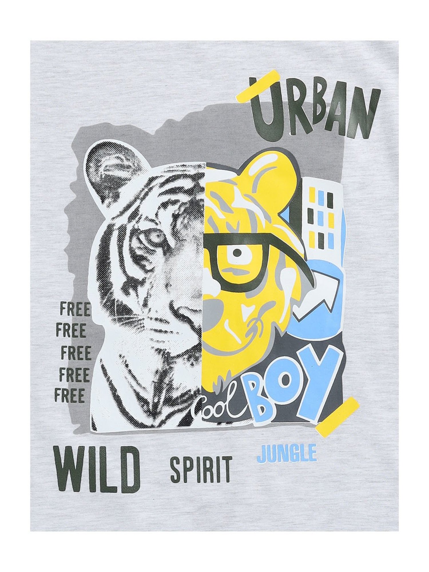 Todd N Teen Kids Grey & Olive Printed T-Shirt with Trackpants