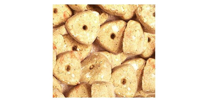 Nutro Crunchy Carrot Dog Treats - 10oz