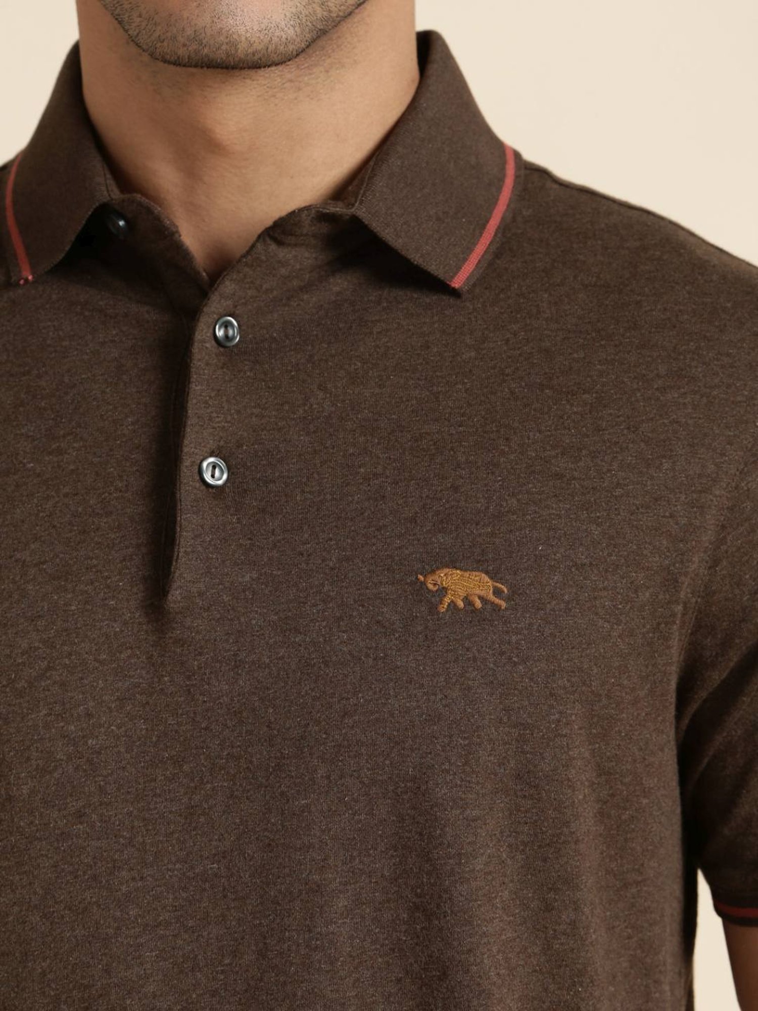 Andamen Brown Regular Fit Polo T-Shirt