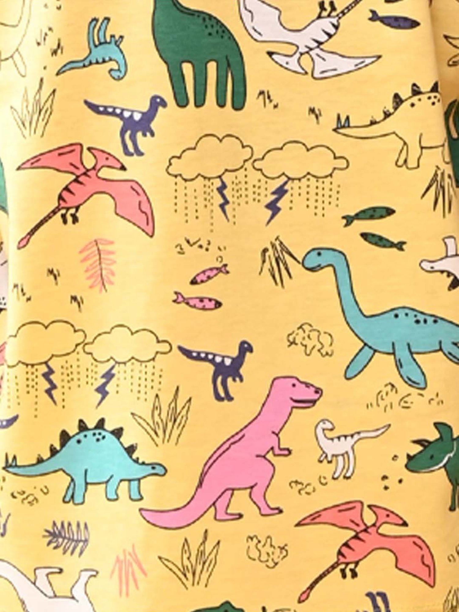 Nite Flite Boys Multicolor Cotton Printed T-Shirt & Pyjama