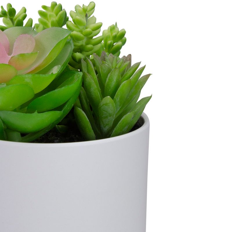 Northlight 5.5" Mixed Artificial Succulent Arrangement in a White Pot