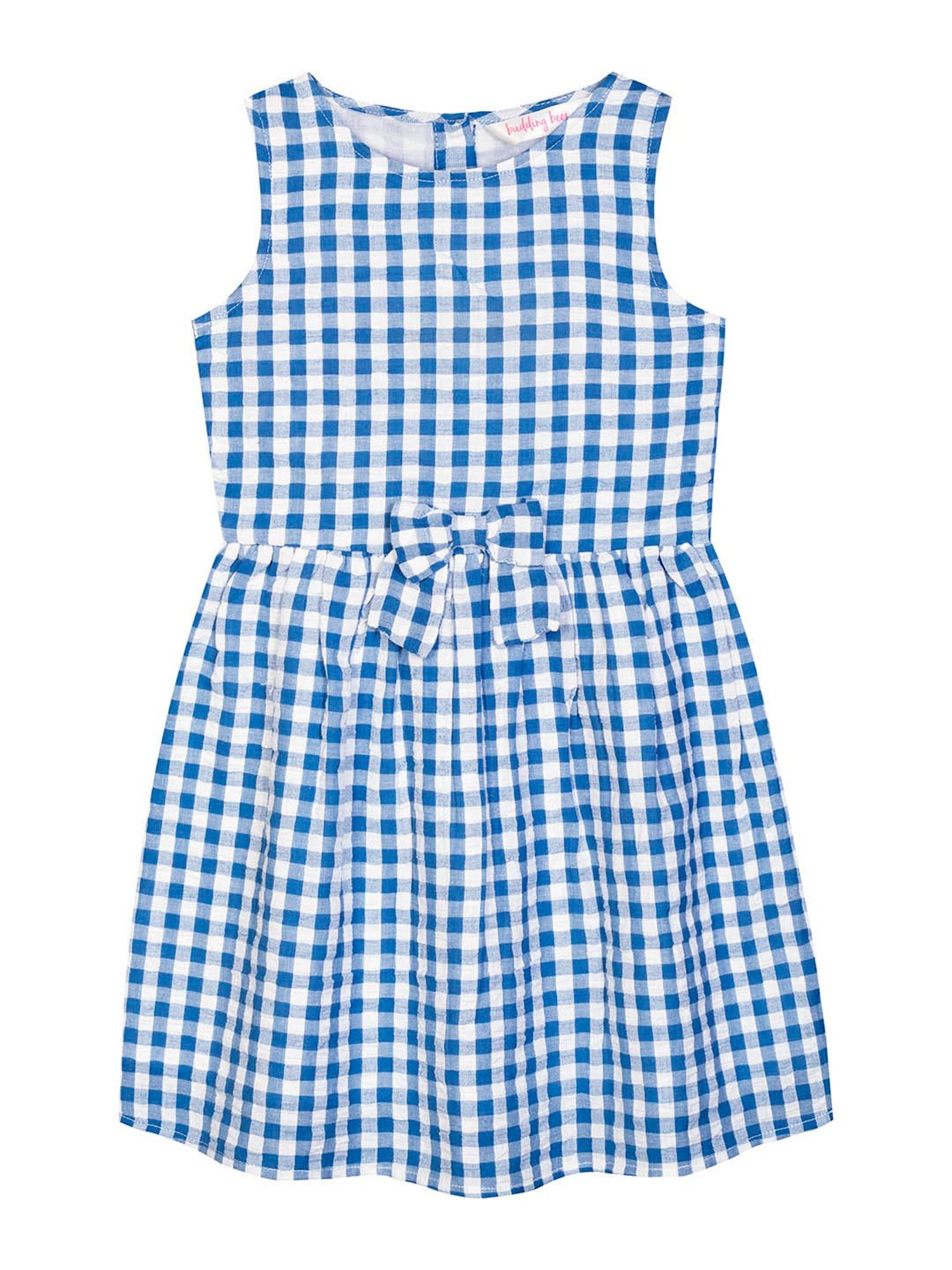 Budding Bees Kids Blue & White Checks Dress