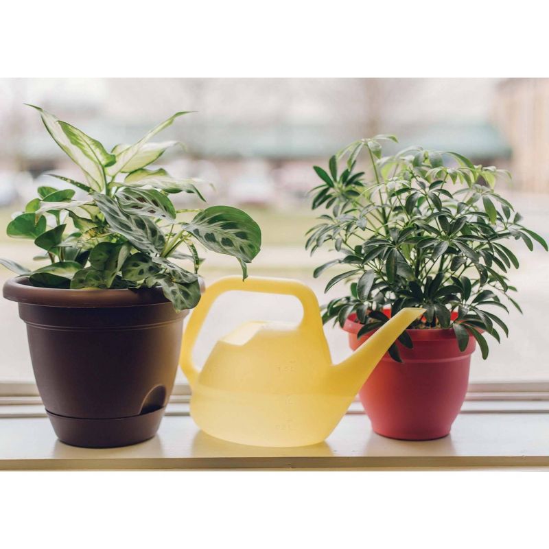 Blue Rose Polish Pottery Spring Tulip Watering Can