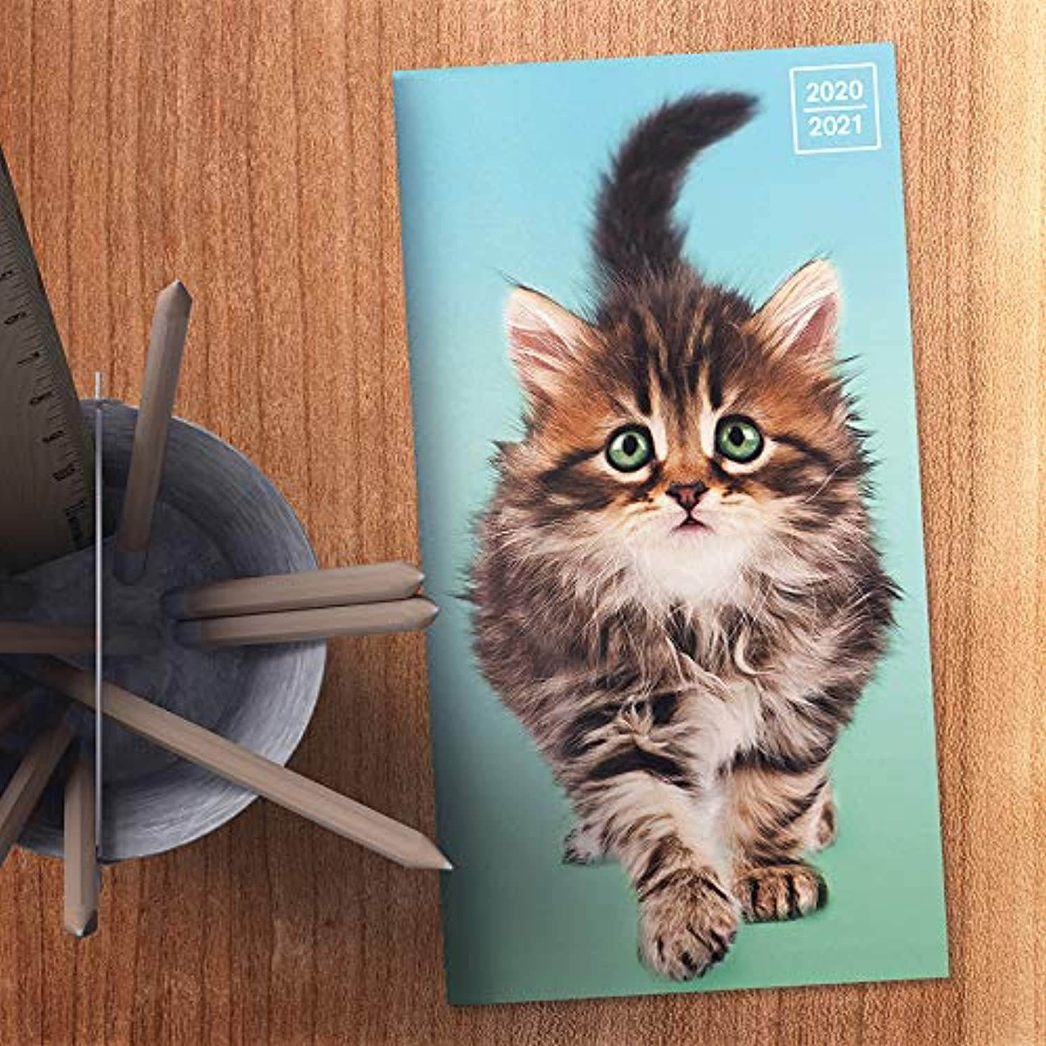 2020-2021 Kittens 2-Year Small Monthly Planner