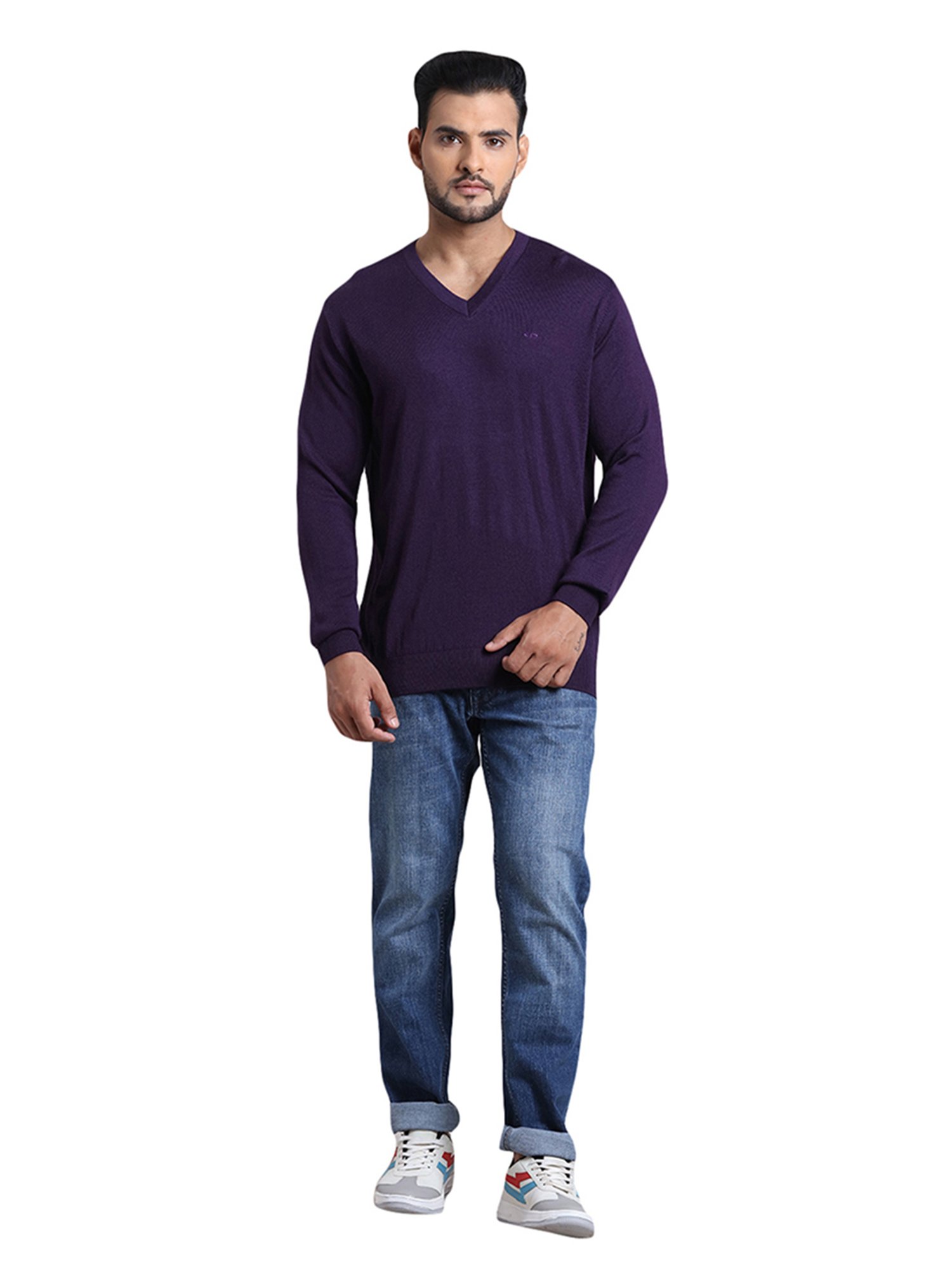 ColorPlus Purple V Neck Sweater