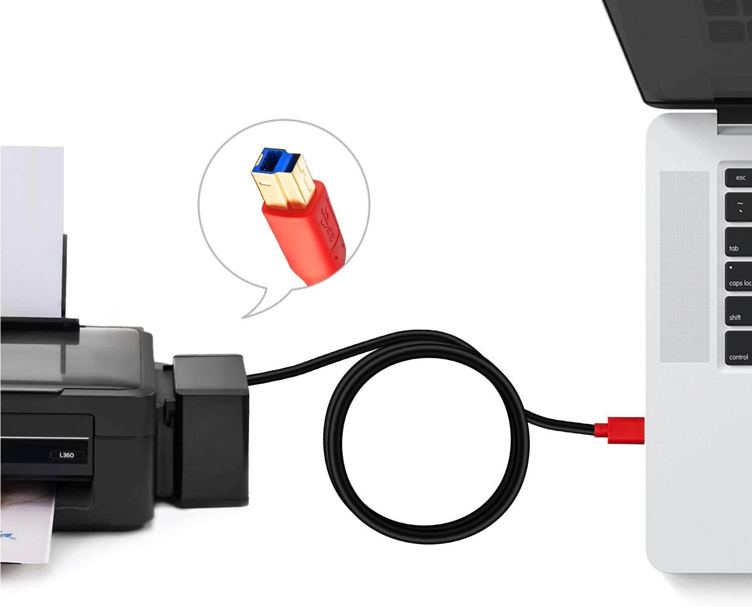 USB 3.0 Cable A Male to B Male 12FtTan QY Type A to B Male Compatible with Hard Disk DrivePrintersScannerUSB HubMonitor and More (12Ft)