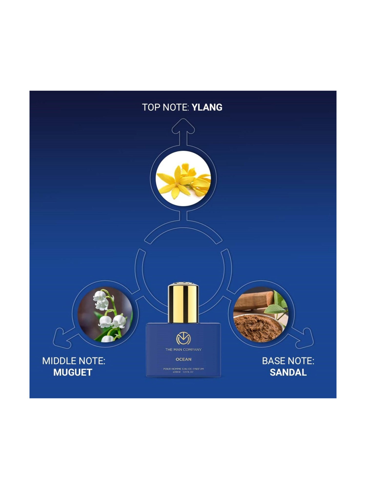 The Man Company Ocean EDP for Men - 30 ml