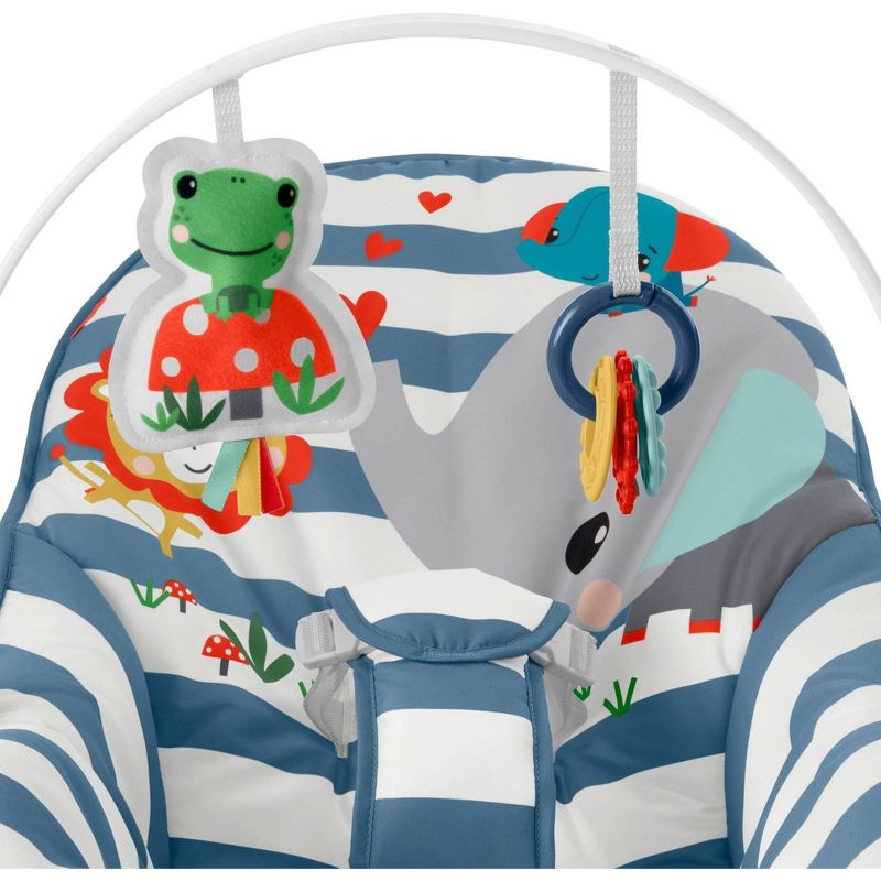 ​Fisher-Price Baby Bouncer