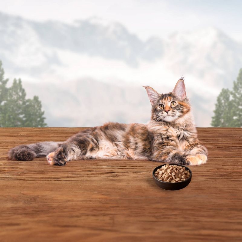 Meow Mix Tasty Layers Chicken and Tuna Recipe Wet Cat Food - 2.75oz