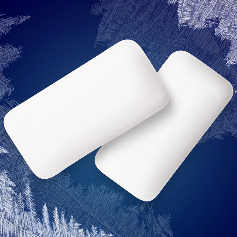 Wrigley's 5 Wintermint Ascent Sugarfree Gum Multipack - 45ct