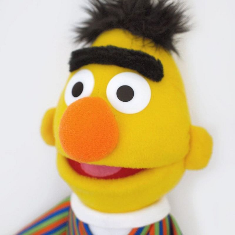 Enesco Sesame Street Bert 14" Plush