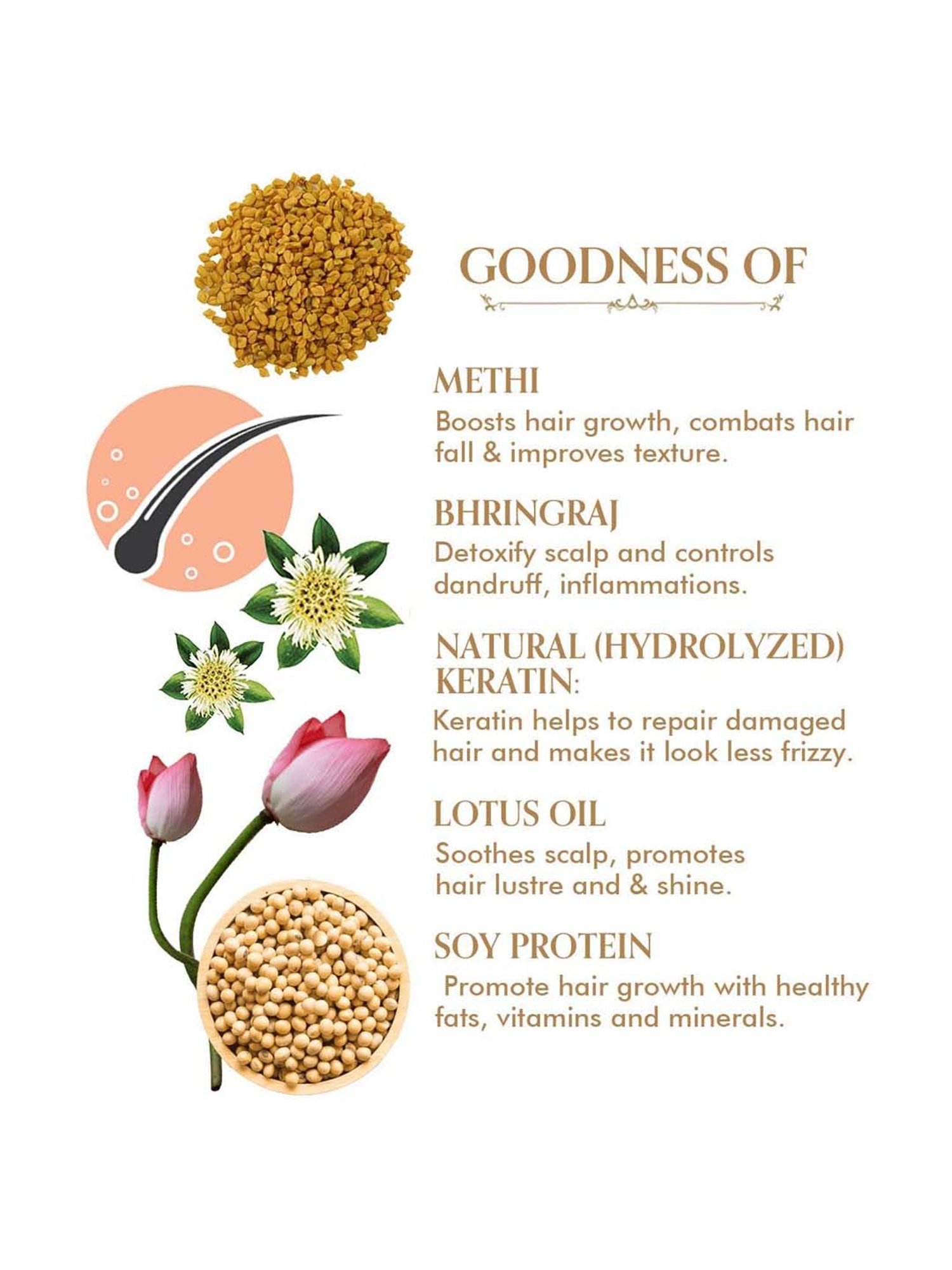 Richfeel Brahmi Intensive Repair Hair Pack - Pack of 4