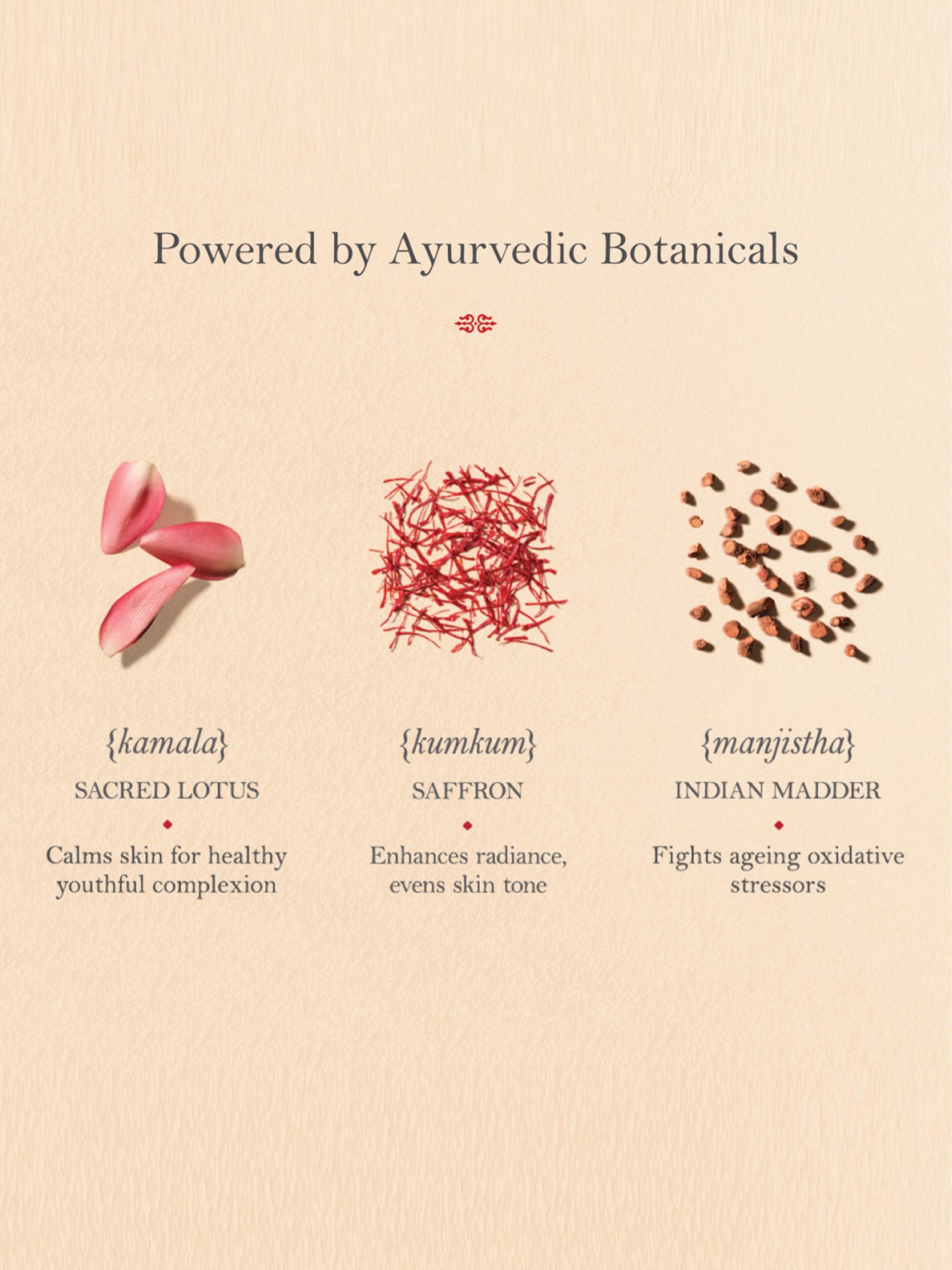 Kama Ayurveda Kumkumadi Rejuvenating & Brightening Night Cream - 25 gm