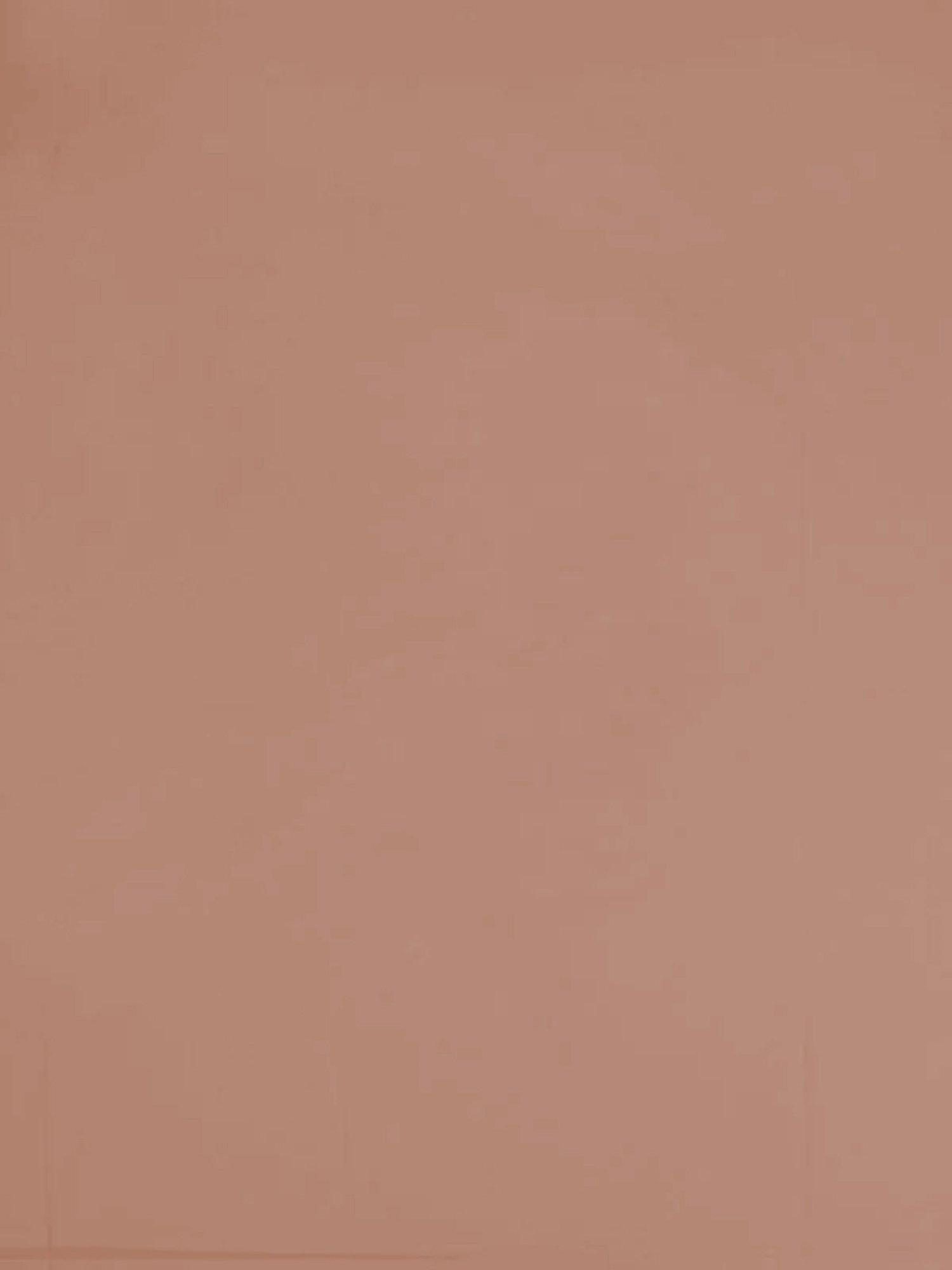 Petal Home Solid Beige 300 TC Cotton King Bed Sheet with 2 Pillow Covers