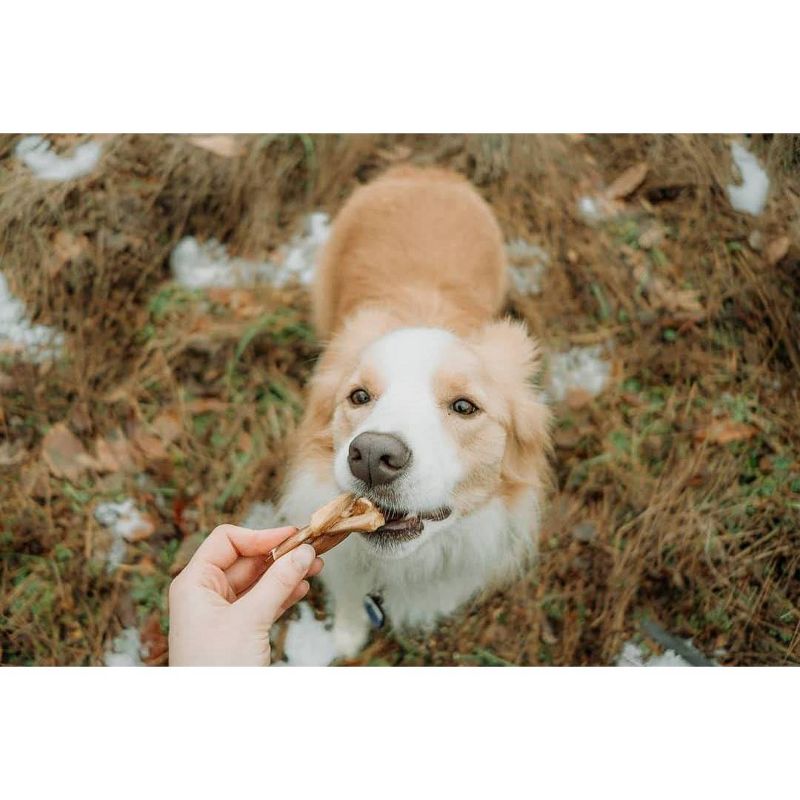 Nature Gnaws Braided Bully Bites 3-4" Jerky Beef Dog Treats- 15ct